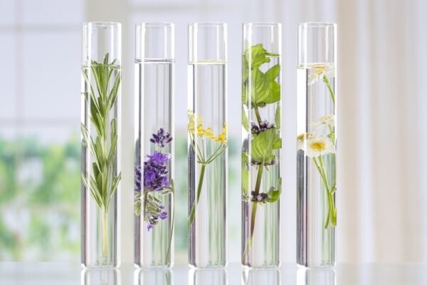 Cosmetics Manufacturing Module III تصنيع مستحضرات التجميل المستوى الثالث